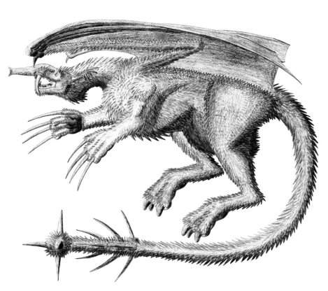 mammalian_dragon_concept_by_dracontes